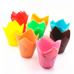 Форма бумажная "Тюльпан" 50*80 микс цвета (1*250)